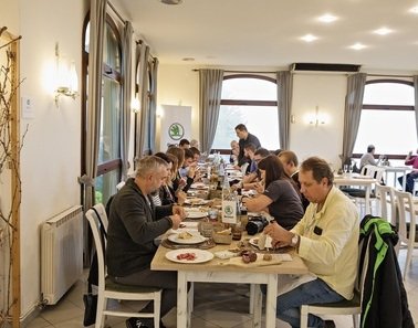 Что нужно знать о профессиональных холодильниках